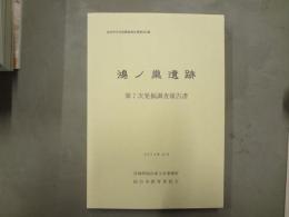 鴻ノ巣遺跡 : 発掘調査報告書