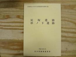 灰塚遺跡・杉ノ下遺跡