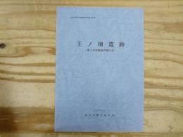 王ノ壇遺跡 : 第5次発掘調査報告書