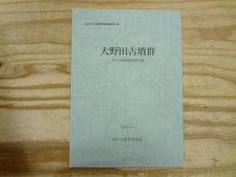 大野田古墳群 : 第9次発掘調査報告書