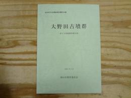 大野田古墳群 : 第8次発掘調査報告書
