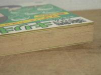 突然ですがキリギリス : 誰も書きたくなかったサザンオールスターズ