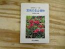 宮城の高山植物