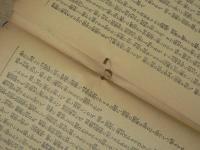 美貌の研究