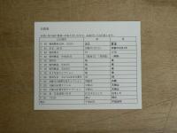 シルクロードの記憶