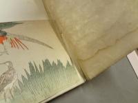 諸鳥飼養法全書