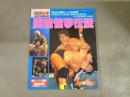 週刊ゴング　1993 5月21日増刊号　
WRESTLING・DONTAKU in FUKUOKA DOME
闘龍憧夢伝説