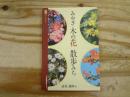 みやぎ　木の花　散歩みち