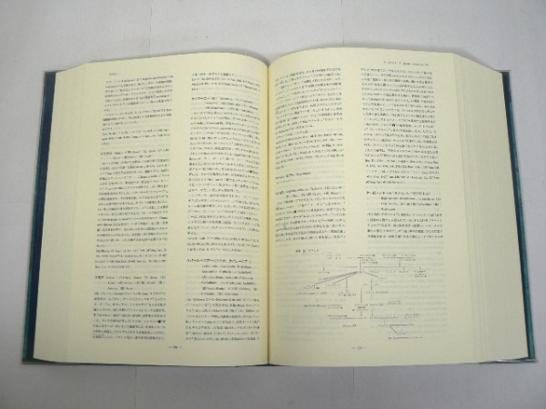 西洋古典学事典 | 松原國師 著 | 京都大学学術出版会 | ¥15,000 - 日本