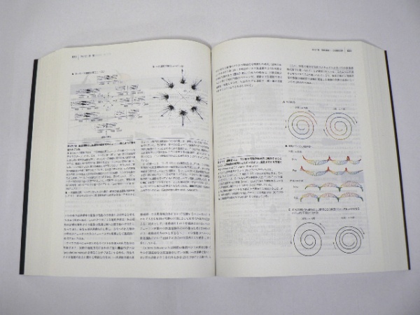 カンデル神経科学 [第5版] | ¥5,000 - 日本の古本屋 / 日本の古本屋