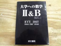 大学への数学2&B
