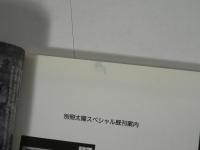エルヴィス・プレスリー : The king of rock'n'roll