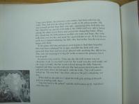 洋書絵本　In the Troll Wood