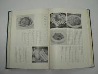 中国料理 宴席料理