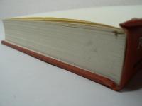 洋書 Perspectives on Anxiety, Panic, and Fear