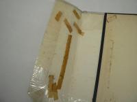 洋書 The Great Apes : A Study of the Anthropoid Life