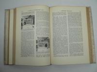 洋書 The Great Apes : A Study of the Anthropoid Life