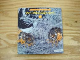 ファーブル昆虫記の虫たち