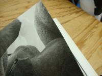 楽園からの最後の言葉