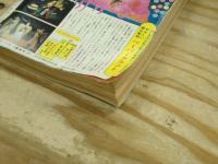 週刊少年マガジン 1976年16号