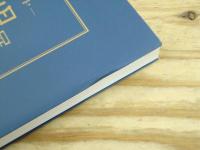 蕗谷虹児展 : 魅惑のモダニスト