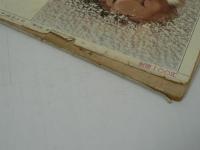 のらくろ新品伍長　