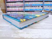 錦綉中華 MAGNIFICENT CHINA