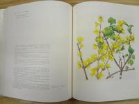 薬用植物画譜　三重函入