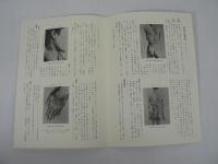 日本皮膚病黴毒図譜 第1帙