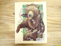 洋書絵本　Aesop's Fables　