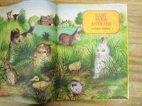 洋書絵本　Baby Farm Animals