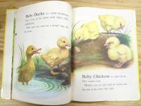 洋書絵本　Baby Farm Animals