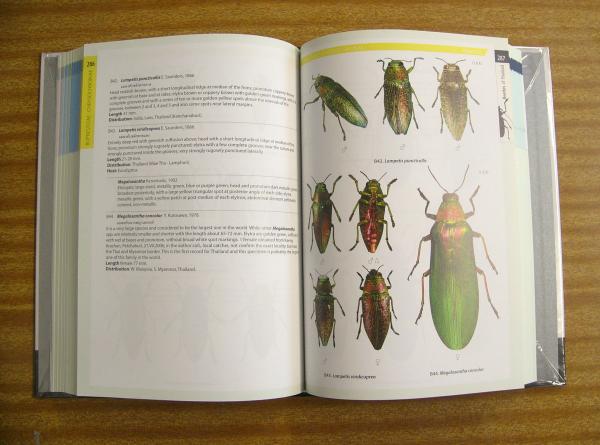 昆虫用品 【土日のみ価格】BEETLES OF THAILAND 2nd Edition