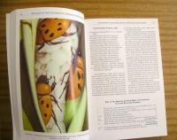The Dynastine Scarab Beetles of Costa Rica and Panama (Coleoptera: Scarabaeidae: Dynastinae)