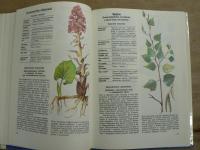 [ロシア語] Природа - наш доктор : Лечение Лекарств Растениями / Der Natur-Doktor : Gesundheit aus Heilpfolanzen / 自然の医者 : 薬草による治療