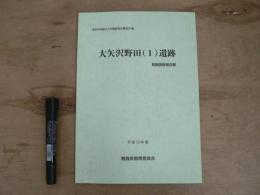 大矢沢野田(1)遺跡発掘調査報告書