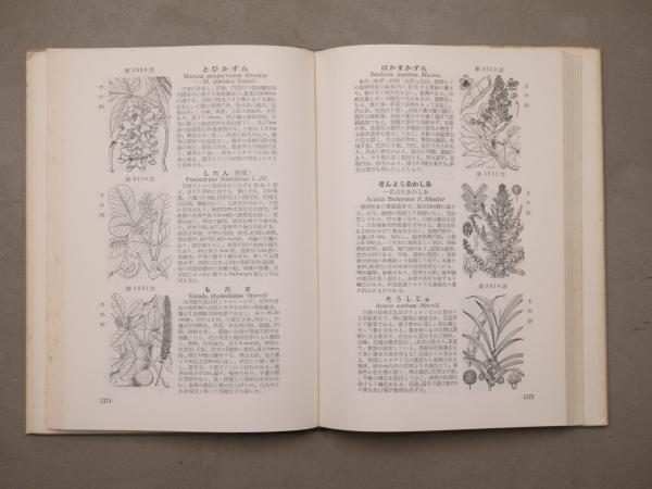 希少】初版 牧野新日本植物図鑑（改訂増補版）牧野富太郎 北隆館