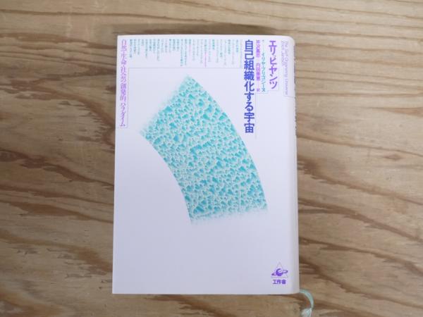 自己組織化する宇宙 : 自然・生命・社会の創発的パラダイム(エリッヒ