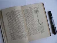 洋書 The Harvard Classics 全50巻揃 ハーバード・クラシクス / Dr. Eliot's Five-Foot Shelf of Books
