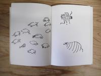 洋書　SAISIR