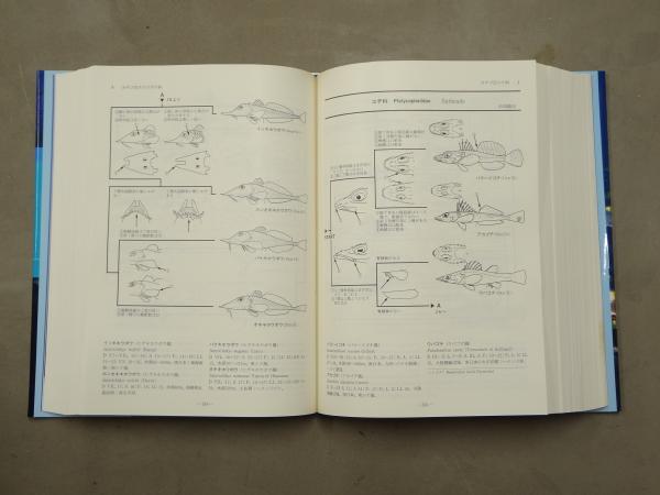 日本産魚類検索 : 全種の同定 | 中坊徹次 編 | 東海大学出版会