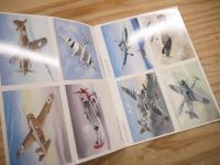World War II Fighter Planes: 24 Cards