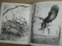 椛島勝一名画集 : 精緻を極めたペン画の世界
