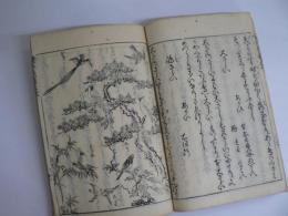[江戸時代 和本] 喚子鳥 上下2冊揃