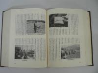 猪苗代町史