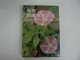 原色 朝顔検索図鑑