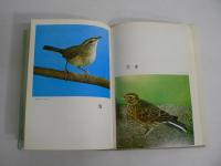 小鳥 : 洋鳥・和鳥の正しい飼い方