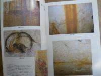 特集終末期古墳とその時代 : 古墳の立地, 石室, 棺, 副葬品の検討