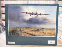 Robert Taylor Air Combat Paintings VolumeⅡ