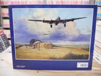 The Air Combat Paintings of Robert Taylor